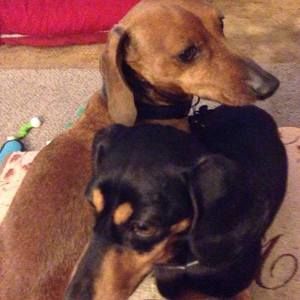 Meet your Posher, Kaye